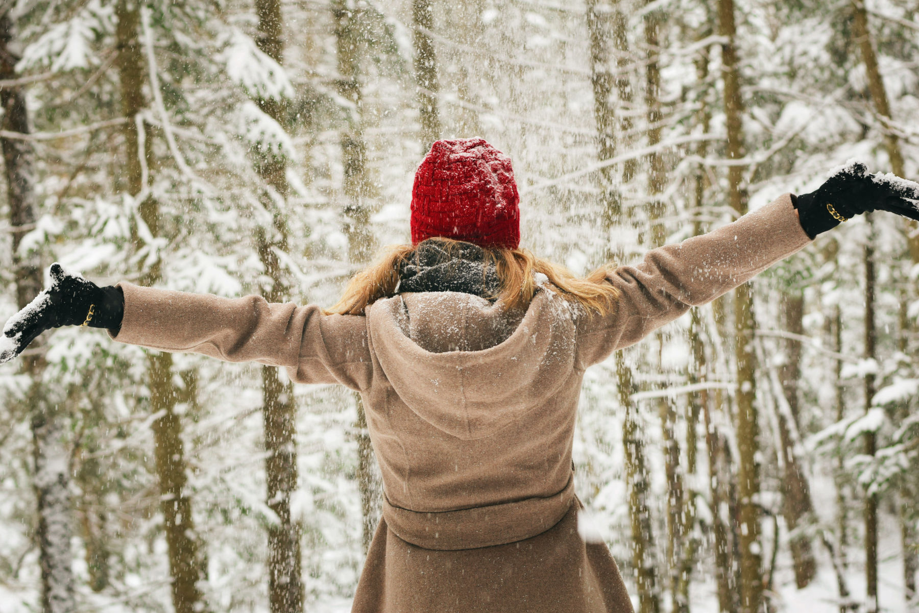 A figure in the snowy woods, arms outstretched