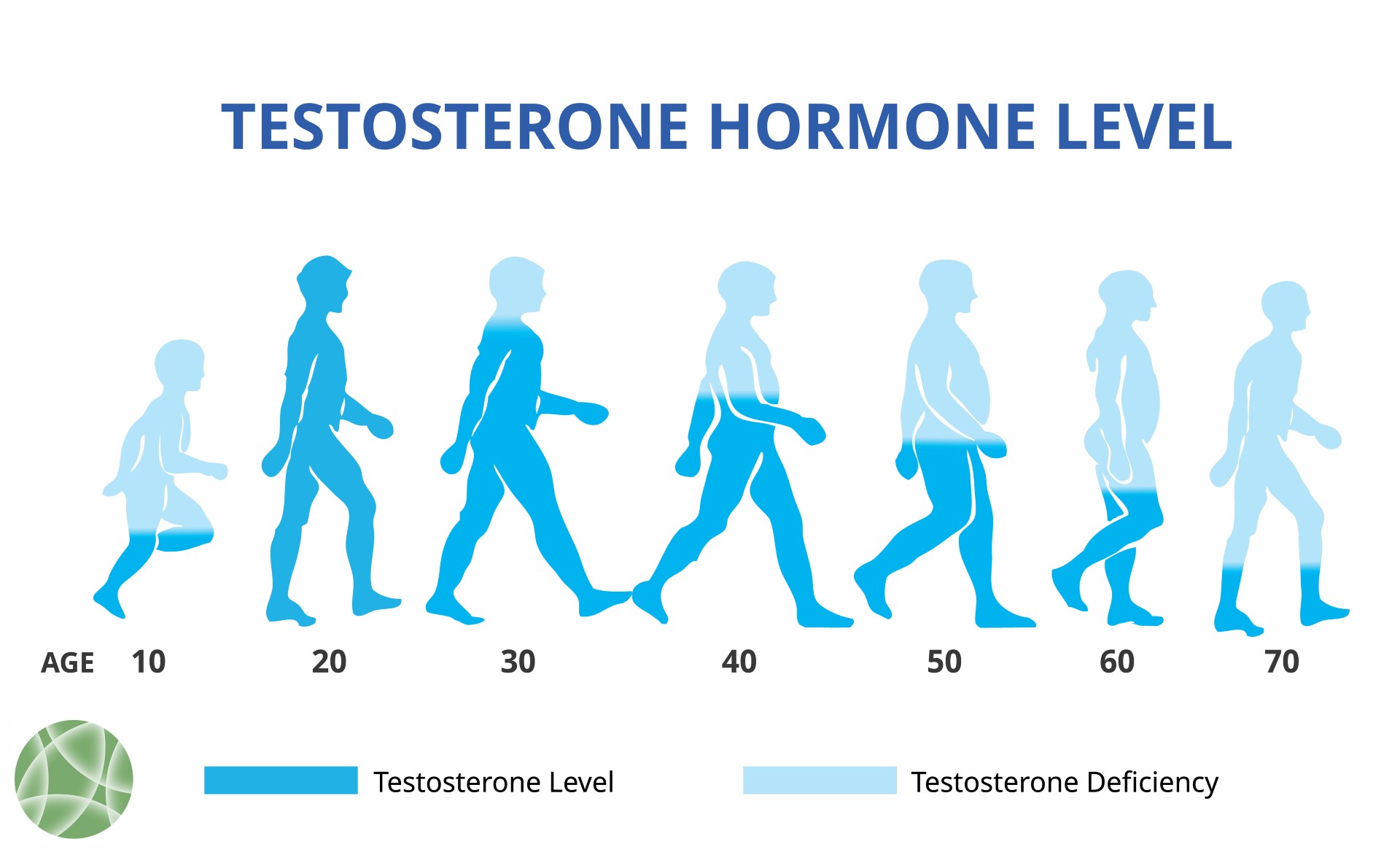 Testosterone Changes Chart