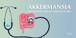 AKKERMANSIA