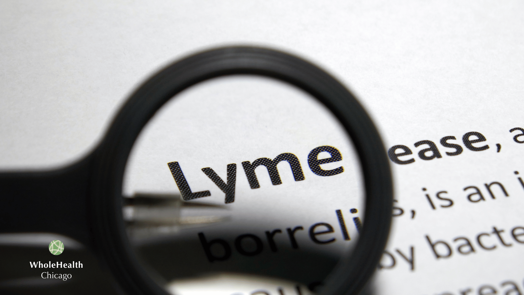 LYME DISEASE