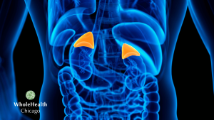 CASE STUDY: ADRENAL FATIGUE